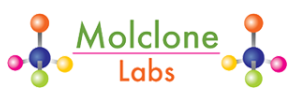 Molclone Labs Pvt Ltd